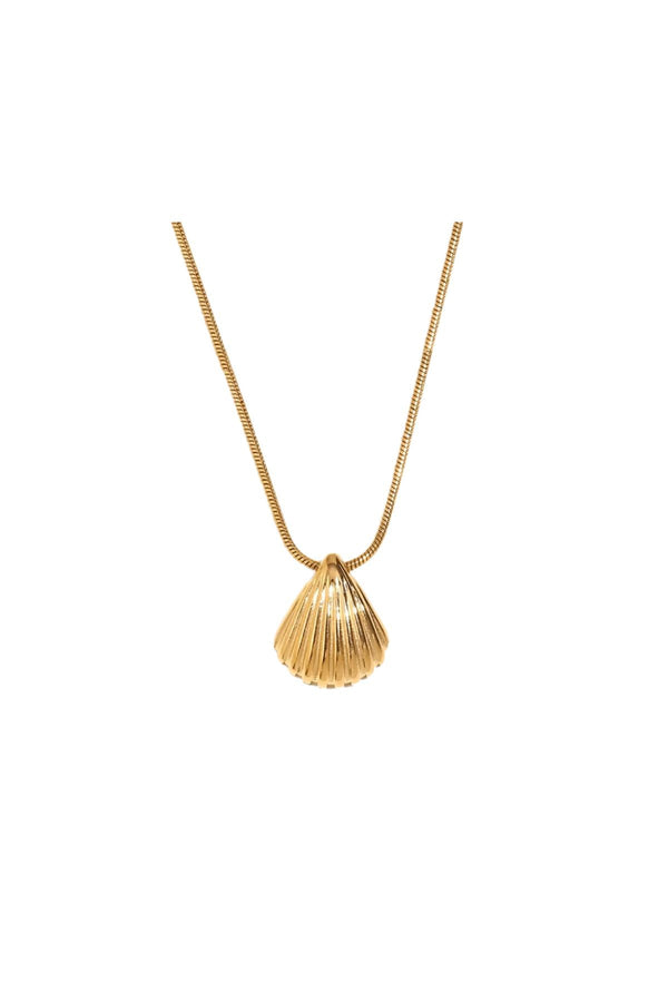 Sandy Gold Shell Necklace - Live By Gold